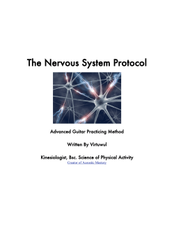The Nervous System Protocol