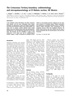 The Cretaceous&frasl;Tertiary boundary: sedimentology and