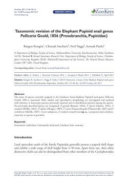 Taxonomic revision of the Elephant Pupinid snail genus