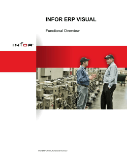 INFOR ERP VISUAL