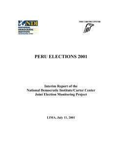 Interim Report (ENG) - National Democratic Institute