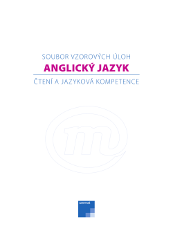 ANGLICK&Yacute; JAZYK