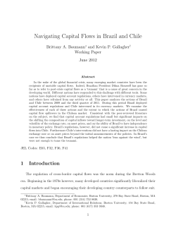 Navigating Capital Flows in Brazil and Chile - bu people