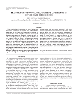 trafficking of adoptively transferred b lymphocytes in b