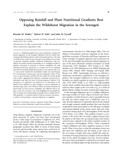 Opposing Rainfall and Plant Nutritional Gradients Best