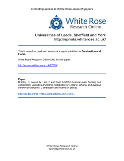 - White Rose Research Online