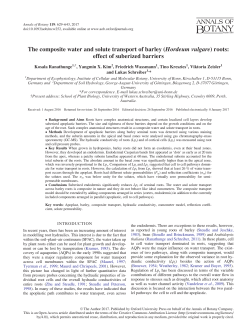 The composite water and solute transport of barley (Hordeum