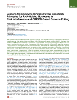Lessons from Enzyme Kinetics Reveal Specificity Principles for RNA