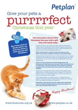 Give your pets a Christmas this year