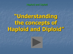 “Understanding the concepts of Haploid and Diploid”