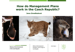 How do Management Plans work in the Czech Republic?