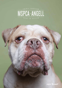MSPCA-Angell