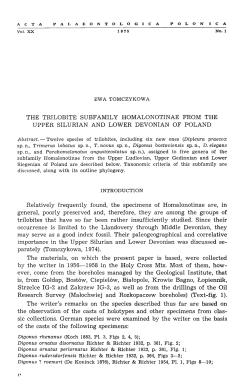 THE TRILOBITE SUBFAMILY HOMALONOTINAE FROM THE