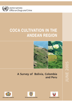 Coca cultivation in the Andean Region for 2004