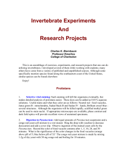 Invertebrate Experiments And Research Projects
