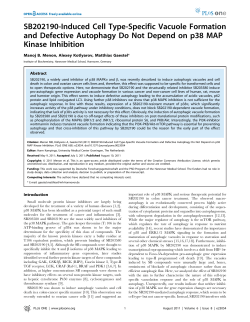 SB202190-Induced Cell Type-Specific Vacuole Formation and