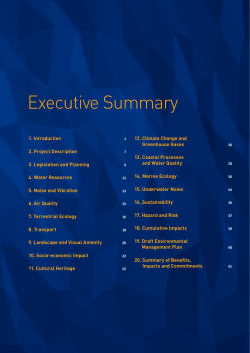 Executive Summary