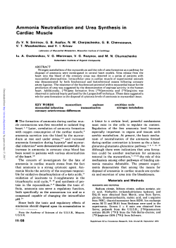 Ammonia Neutralization and Urea Synthesis in