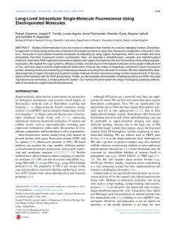 Long-Lived Intracellular Single-Molecule