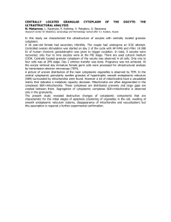 CENTRALLY LOCATED GRANULAR CYTOPLASM