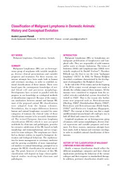 Classification of Malignant Lymphoma in Domestic