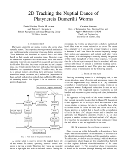 2D Tracking the Nuptial Dance of Platynereis Dumerilii Worms