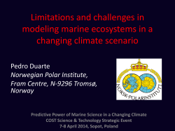 Limitations and challenges in modeling marine ecosystems in a