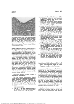 Centrioles and cilia in the mesothelial cells of the