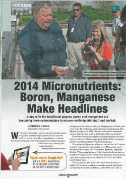 Micronutrients: Boron, Manganese Make Waves