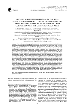 nucleus subputaminalis (ayala): the still disregarded magnocellular