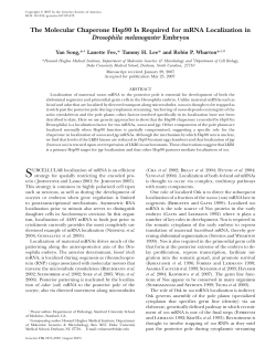 The Molecular Chaperone Hsp90 Is Required for mRNA