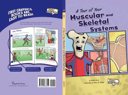 A Tour of Your Muscular and Skeletal Systems