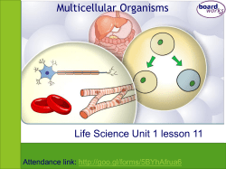 Multicellular Organisms
