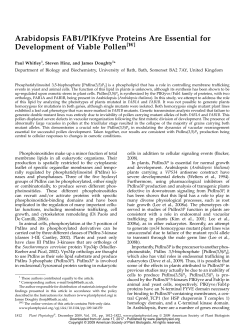 Arabidopsis FAB1/PIKfyve Proteins Are Essential