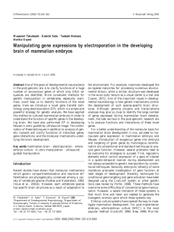 Manipulating gene expressions by electroporation in the developing
