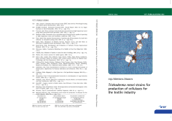 Trichoderma reesei strains for production of cellulases for the