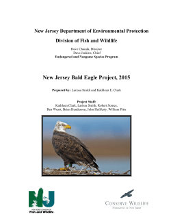 2015 Bald Eagle Report - Conserve Wildlife Foundation