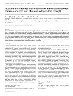 Involvement of rostral prefrontal cortex in selection between stimulus