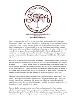 South Carolina Angus Association News Sharon Furr March 2016