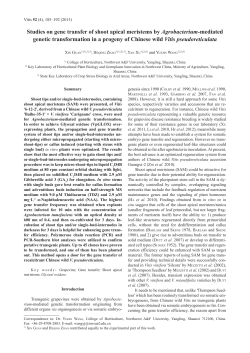 ms 2622 Xin Guan.indd