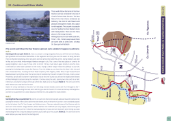 Castleconnell Bog Walks