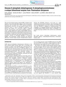 Glucose-6-phosphate dehydrogenase&ndash;6