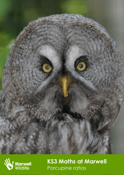 KS3 Maths at Marwell