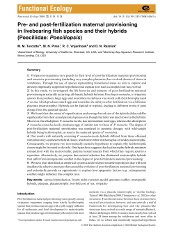 Pre- and post-fertilization maternal provisioning in livebearing fish