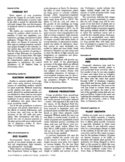 Effect of environment on RICE PLANTS