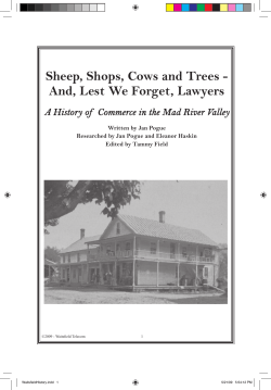 Sheep, Shops, Cows and Trees - And, Lest We Forget, Lawyers