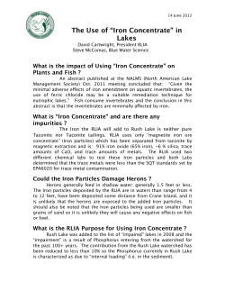 The Use of &ldquo;Iron Concentrate&rdquo; in Lakes
