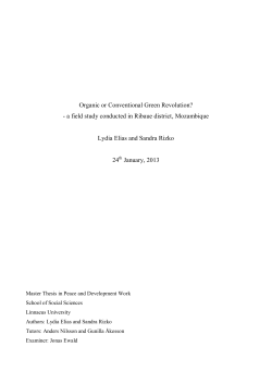 Final Draft: Thesis on the Green Revolution