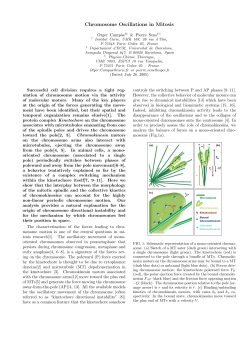 Chromosome Oscillations in Mitosis