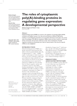The roles of cytoplasmic poly(A)-binding proteins in regulating gene